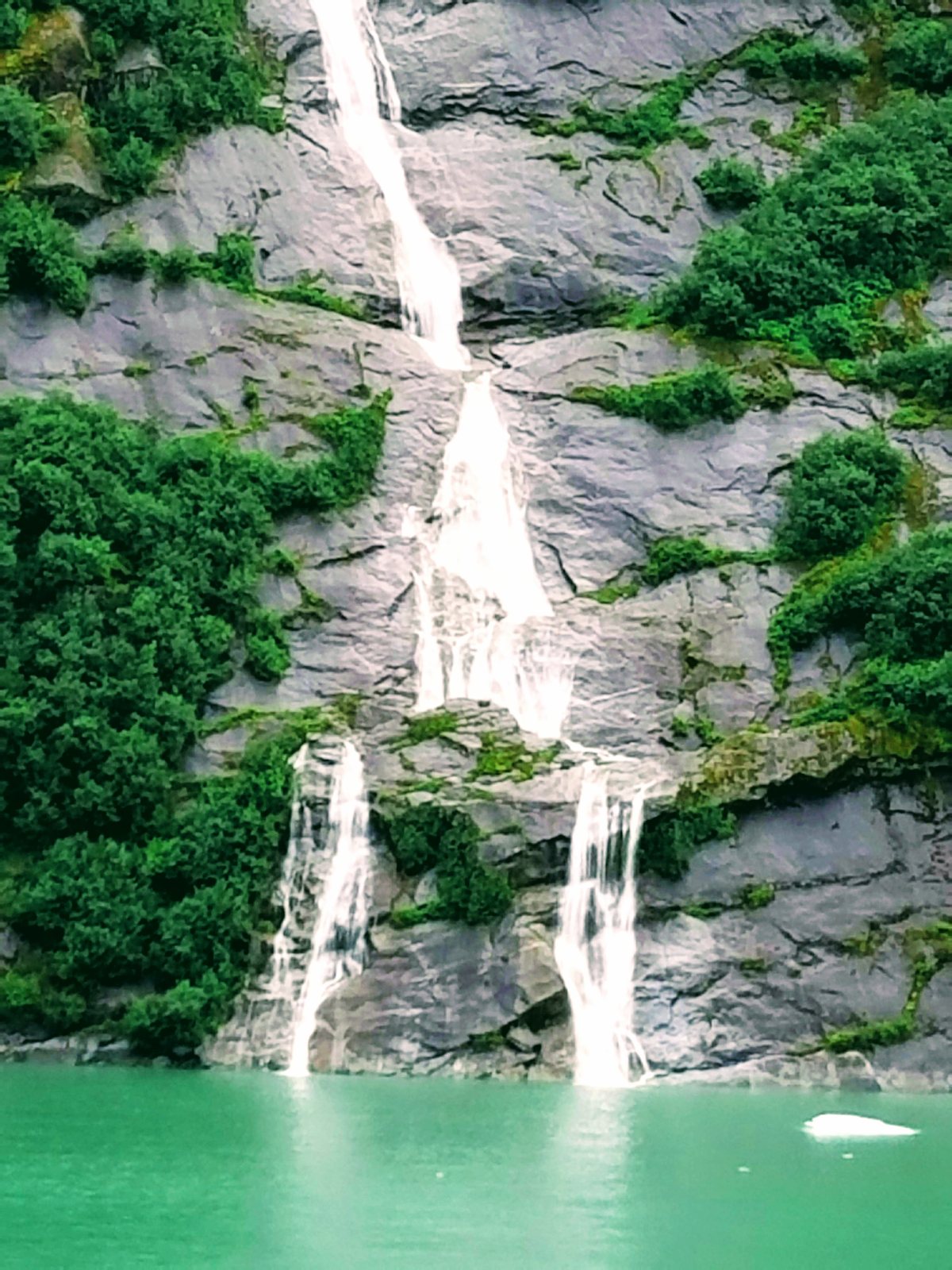 A tall waterfall tumbling down a sheer forested cliff into the green water of Tracy Arm Fjord